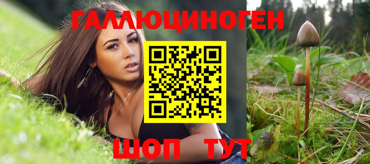 Галлюциногенные грибы MAGIC MUSHROOMS Сунжа