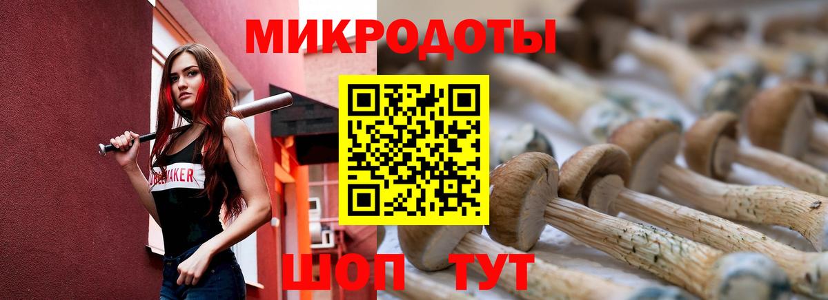 Сунжа  Галлюциногенные грибы MAGIC MUSHROOMS  Вход с VPN  Галлюциногенные грибы мицелий 